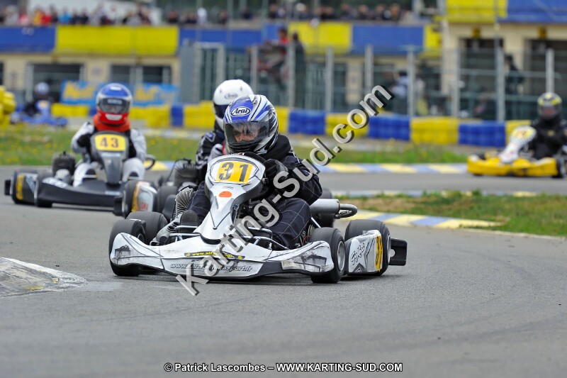 DSC_ (1603).jpg